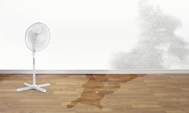 Best Residential Water Damage Restoration in Antlers, OK